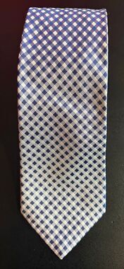 Salvatore Ferragamo tie